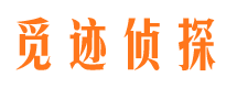 龙门外遇调查取证